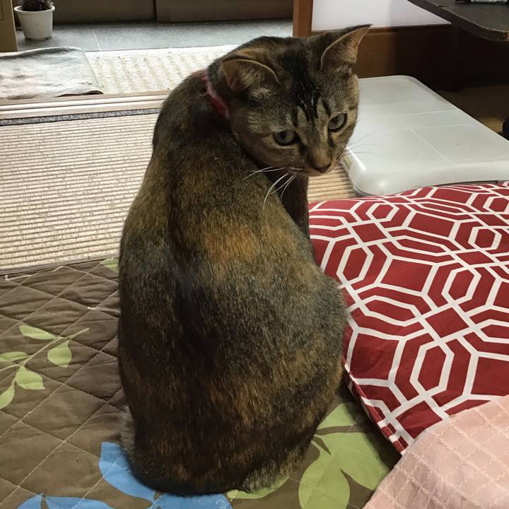 2681ec42 fb59 4da3 a2b8 7b931e0550dd 1610323796170