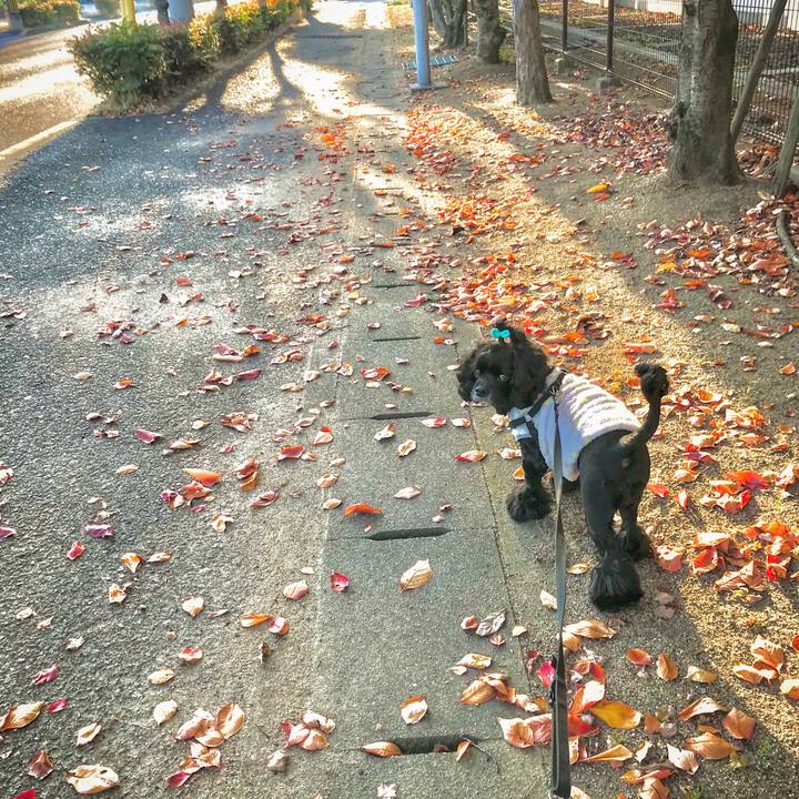 268211b7 3c94 4b75 814f 5439e70b8519 1574580614940