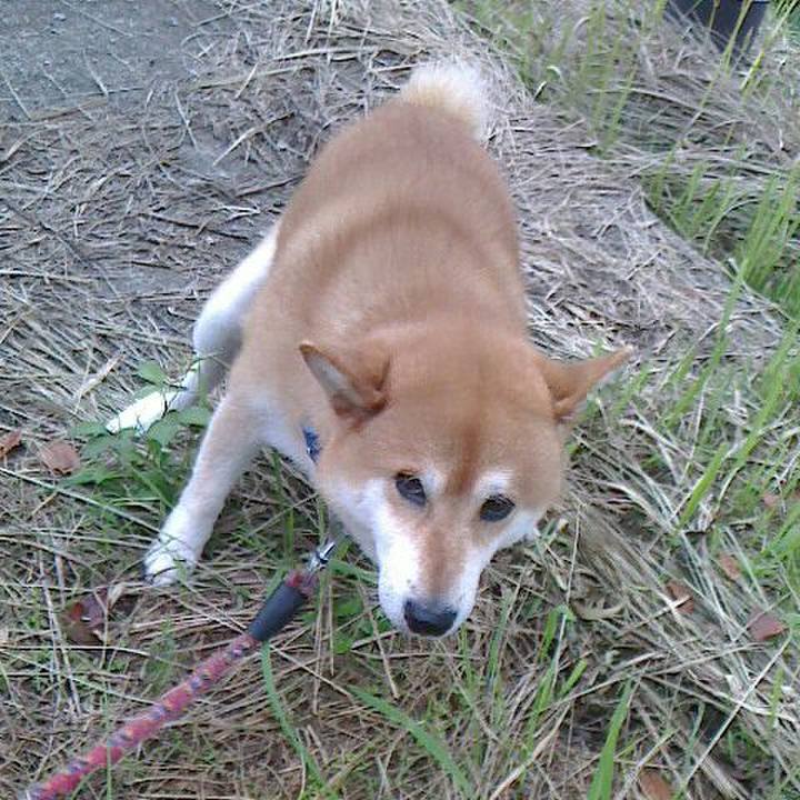 268215d0 5eb7 4c4f b659 3af0d8a93f73 1537441002531