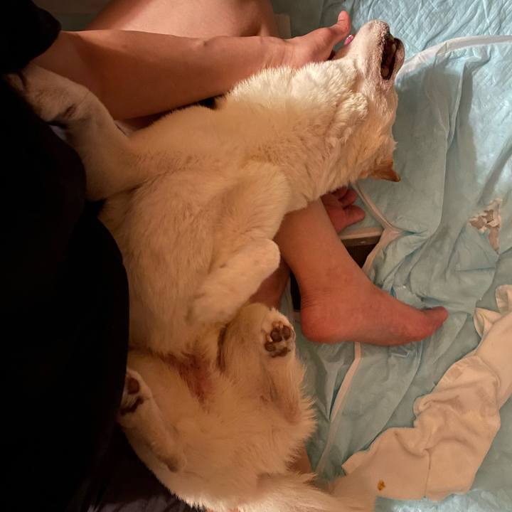 26821bf0 4daa 414c a8ec 6ae91f621f2e 1661270019949