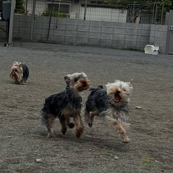 26822b7f 852c 4d1d b8c9 698f4d108360 1746486833420