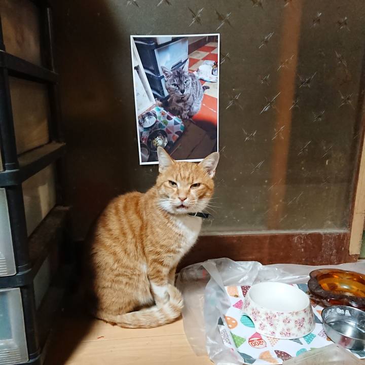 2682416f 6bea 4f16 94e0 ec2ddc0ee8cf 1602446018620