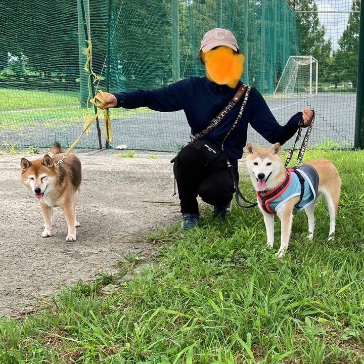 26824d03 667d 4a7d 876c 8d6eab693435 1662003486495