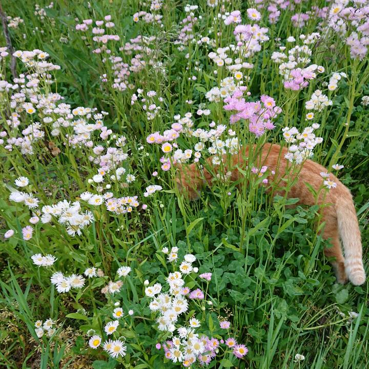 2682bfb6 30af 440b b295 c4f2432e41c0 1590440601855