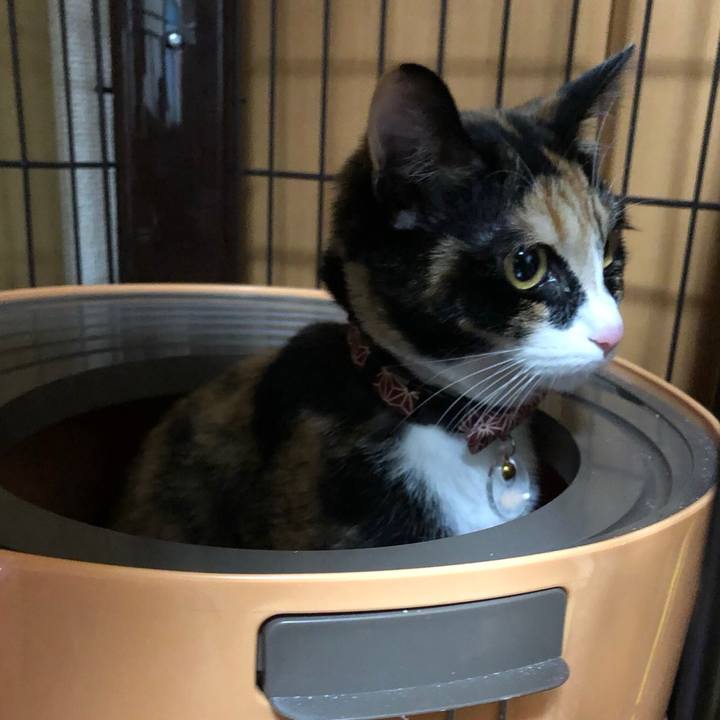 2682f7cd c81d 4e57 9e32 d79378b43622 1555078037171