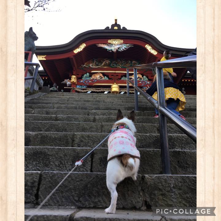 268313d2 f32b 48b3 8b06 653e995e0db8 1637452100872