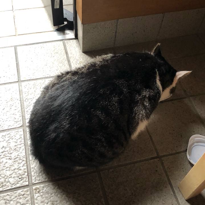 2683310f 603b 4a3c 9c46 107e88c252e0 1532780216486