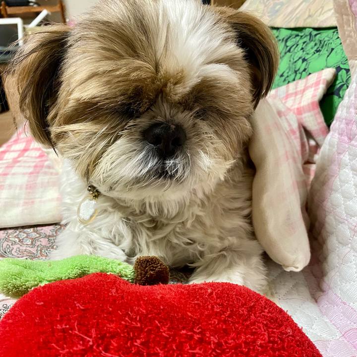 268380ce b11b 4aac 89cd 421ea50ad353 1602754420452