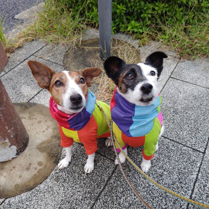 268381ce d53a 486a 88e1 11e1789ee874 1729806669722