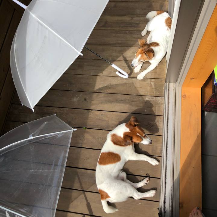 2683c2f5 95c9 4d0a bbfe bb7a33a8880a 1538450829087