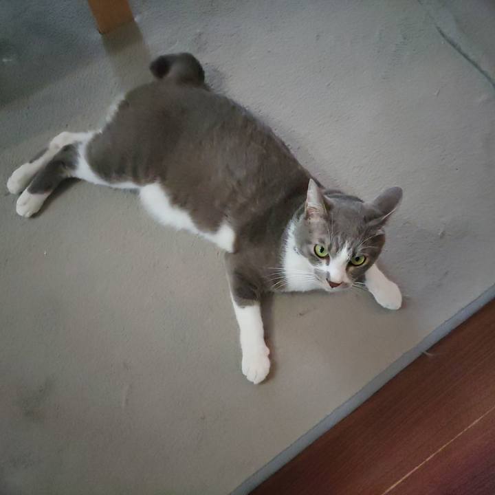 2683db6e ab0a 4f2a ab70 c018b83c8a29 1696047695791