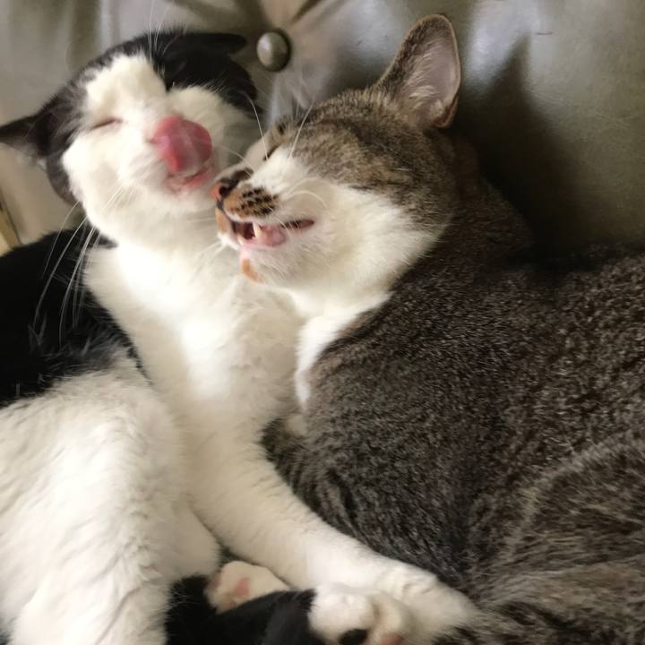 26840c98 5d14 4760 b135 987b9ea7733b 1532399037166