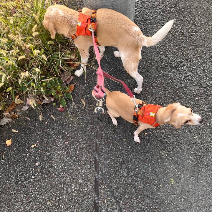 2684640d 6db7 4b07 8998 22bdcd627f38 1762970412675