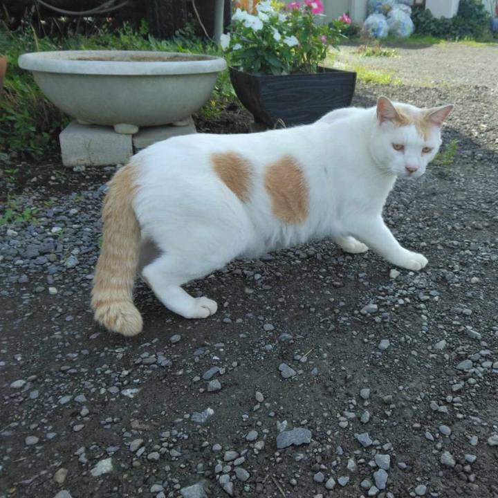 26847b04 b703 4ff4 a06f 9ce8bf51e8c5 1719887739014