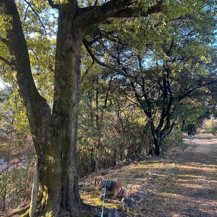 2684ac33 697a 436b b6f4 51b64ae4b0b8 1704749948231