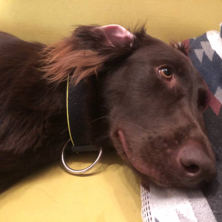 2684de2d 7bfc 453d a24e 3e6773931df9 1583897544341