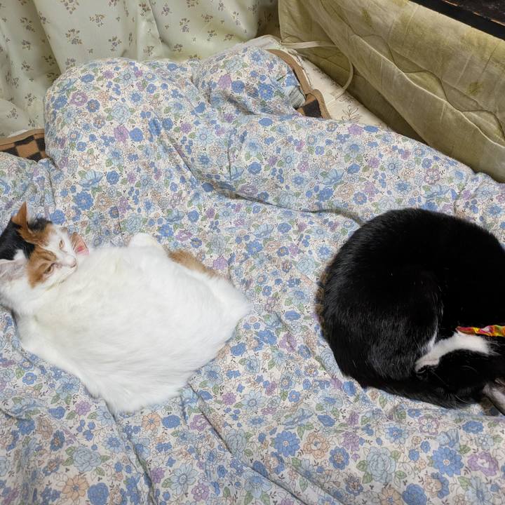 26850730 f474 4b7f b7aa eaf977071c08 1765543593346