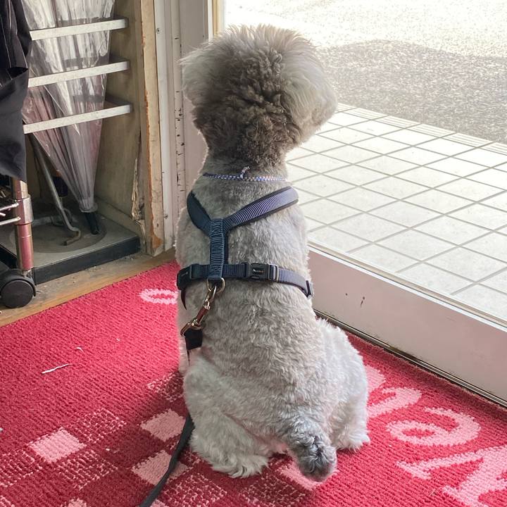 26854434 e194 47dd 89cf 682463aafe88 1620108882354