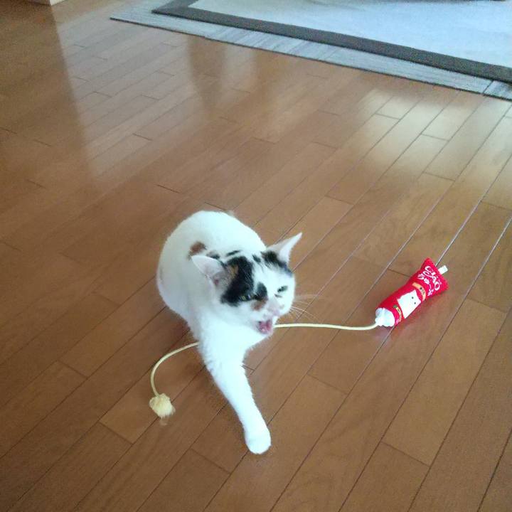 26855a58 bf0d 4ef8 9f5c 2bddde90405a 1691035635883