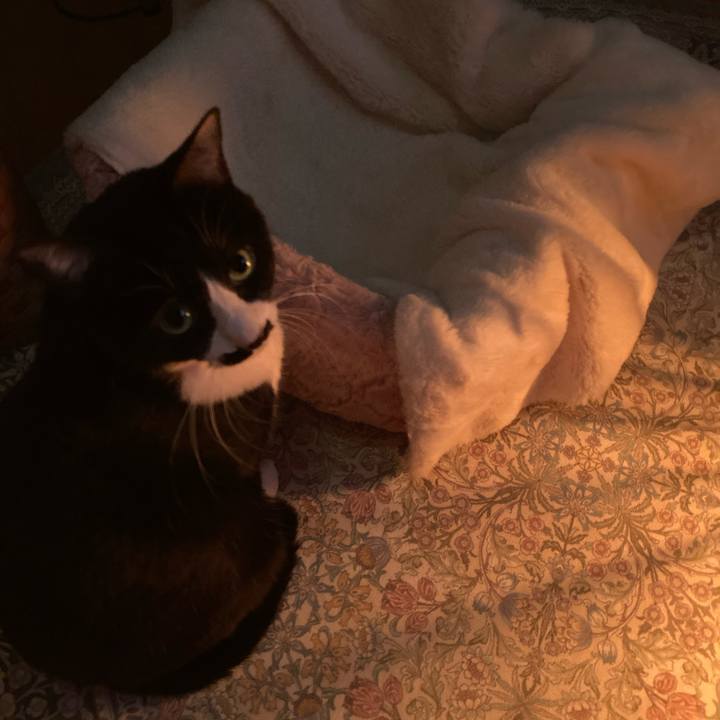 26855dab 69c9 4914 8c6e cd2ee7cb70a0 1770478868726