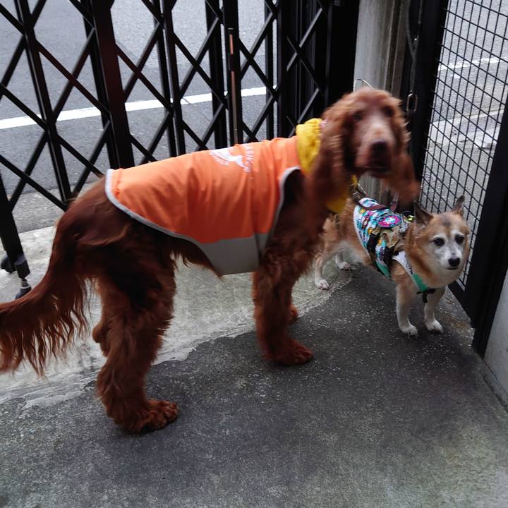 26858995 ad90 486e 9c88 9b4f13ba415b 1658580341507