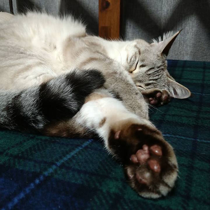 26858db5 3757 4beb abe7 05b3338b5bce 1711801139721