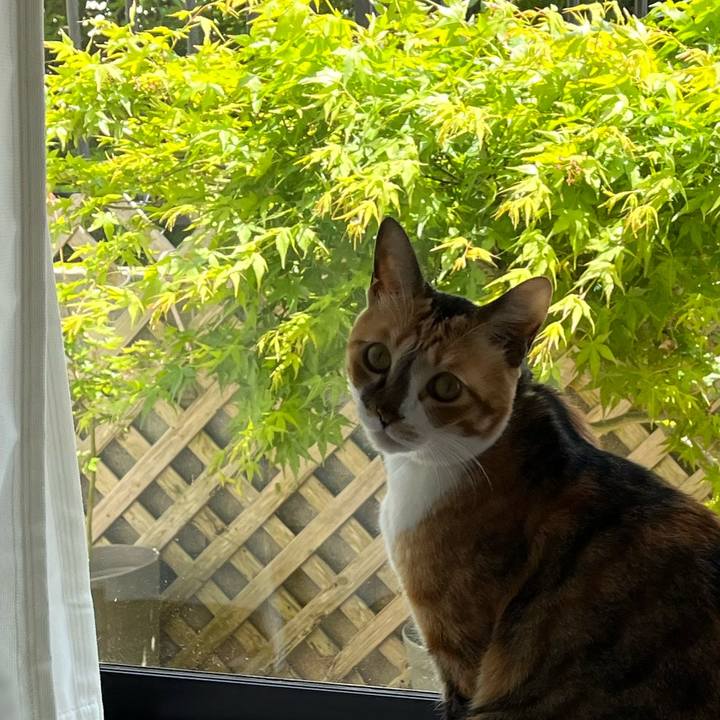 2685c48b 61cd 4181 ae8d ac99e66ce953 1745726312430