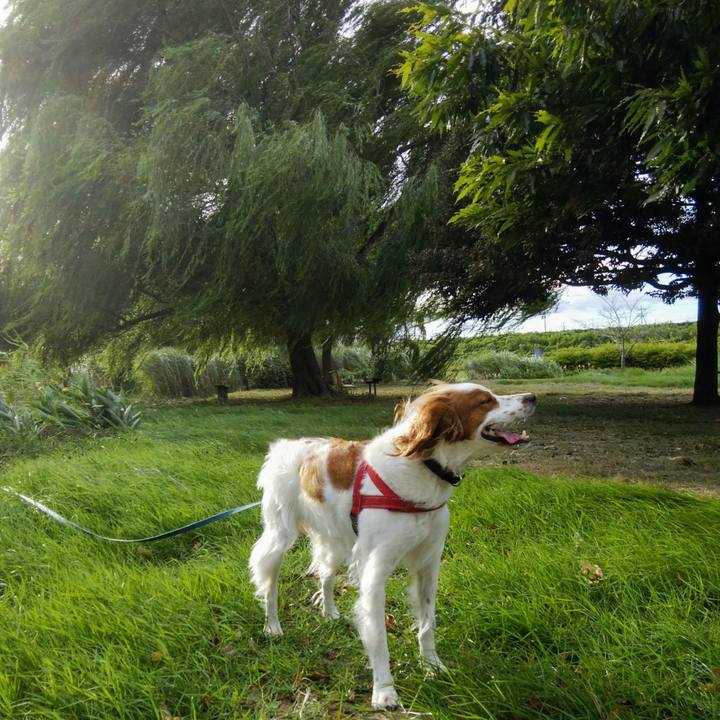 2685c909 77a5 4c18 a5f2 006993abeaa9 1535023417068