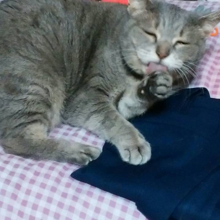 2685d432 a53f 45d2 ac08 844105882939 1593009764225