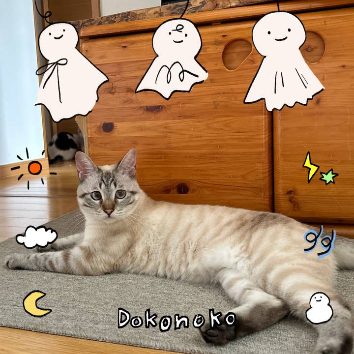 2685d8c7 21c2 4959 9c01 c038902729fe 1749423159007