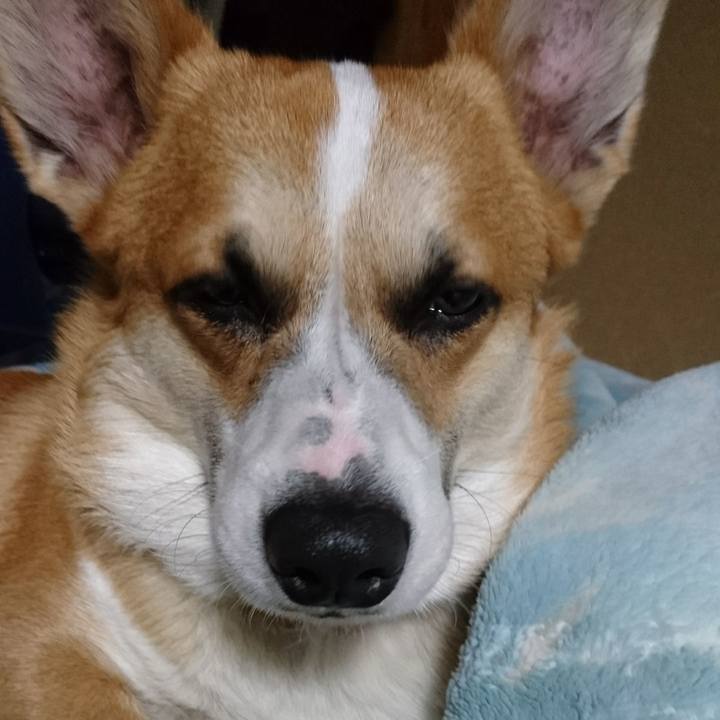 2685dc12 48a1 428f 84b2 b4f9b708537e 1578737306816