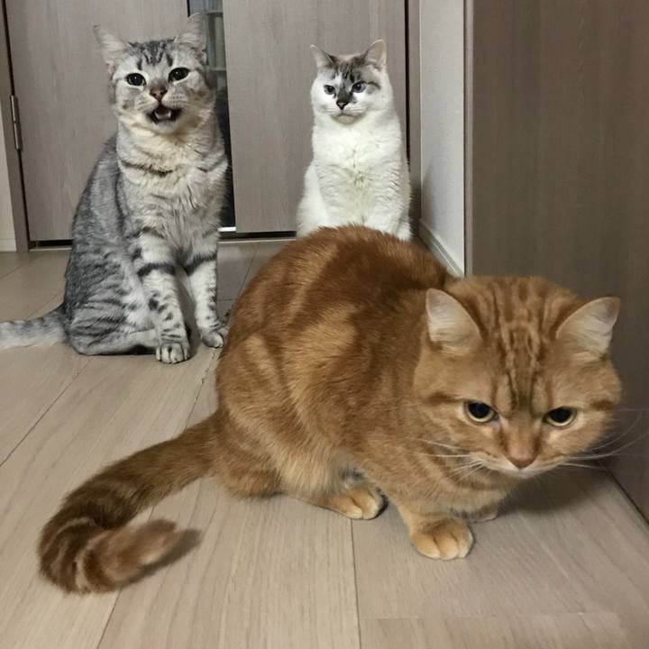 26860e8f c42d 4dbf ab7f c6ef2bcaaf19 1515848226051