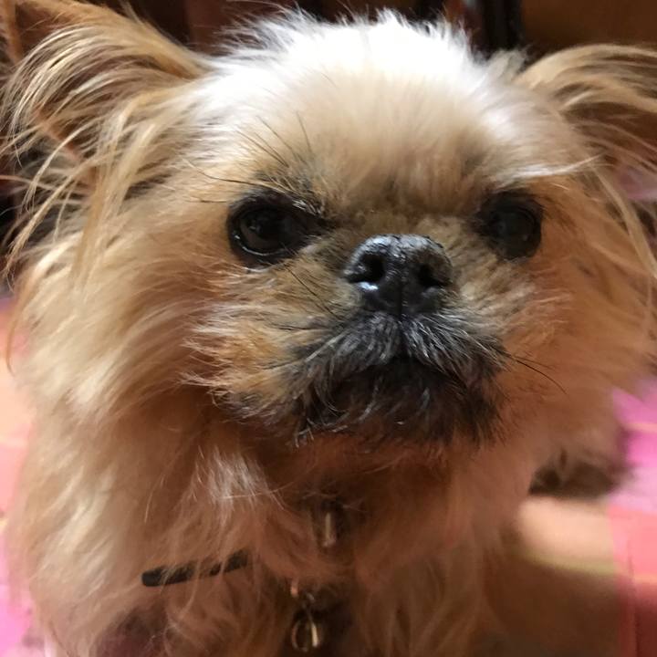 268613ab f00b 4495 aa88 d9b505cb129e 1521676236256