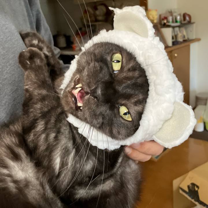 26863f9b 455e 4117 9acb 42a93638f061 1758587919509