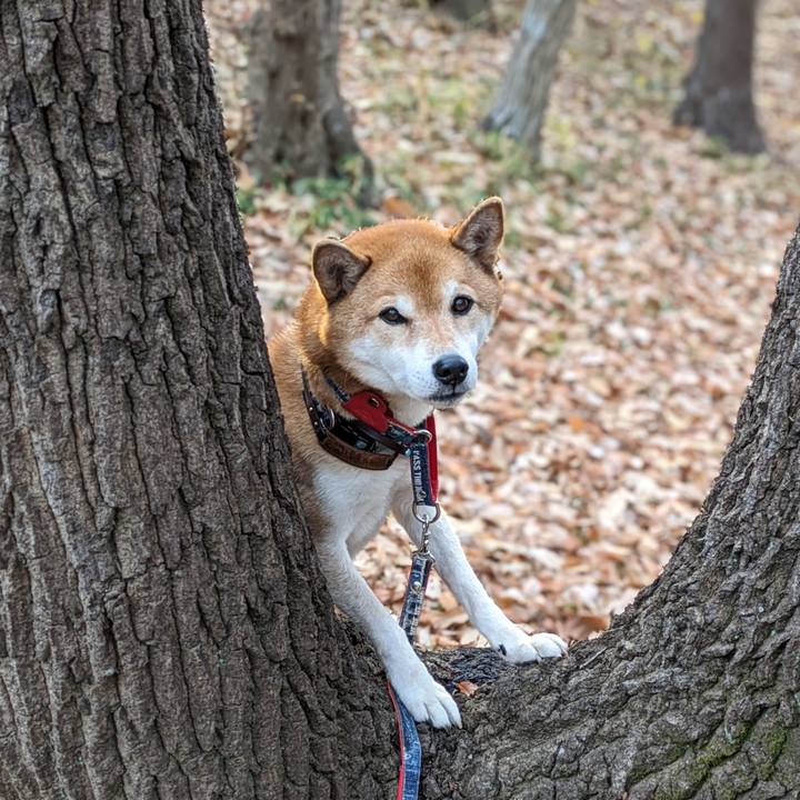 26865812 b4c1 43c7 a580 07f7e111d23c 1702711970851