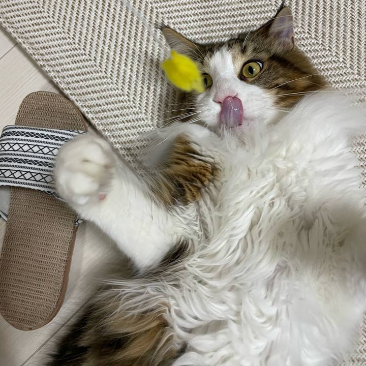 268680fa b2da 44f0 95f9 e6396cee5a74 1649679199881