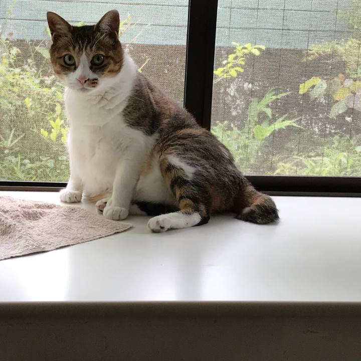 2686841e a107 472c bd63 d578bf8efbbd 1563105354852