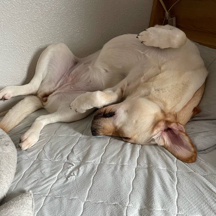 2686982c 5887 4784 ac92 6b619ddd6a4e 1657253059323