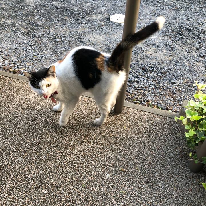 2686a81e a4d2 452e 9f35 90dcd9102b8e 1633126181221