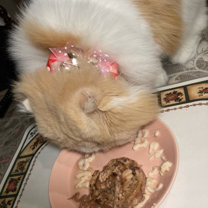 2686bc88 9044 4866 b126 df24e198e812 1655283662916