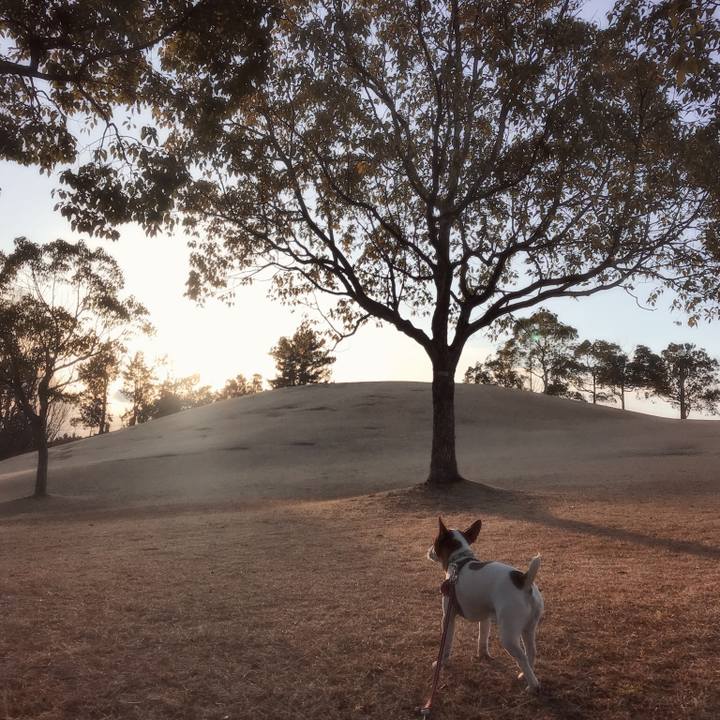 2686cc69 107b 499f 83bb 30924ff8b6df 1518871896658