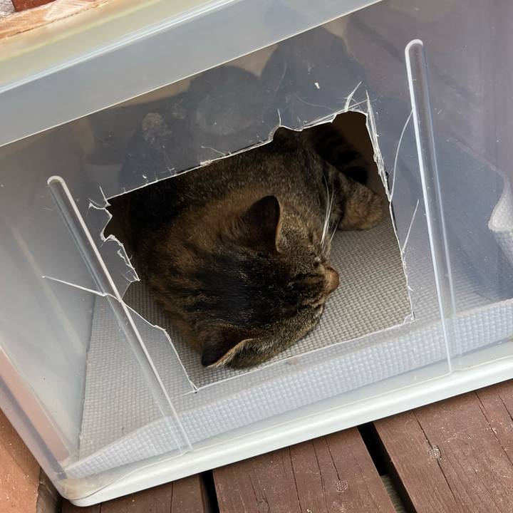 2686fa3b 385a 4564 8c1b c788d0d0253f 1750110555176