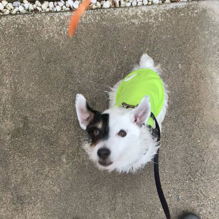 2687253a 3454 4719 bb4e e3816563980e 1716879040997