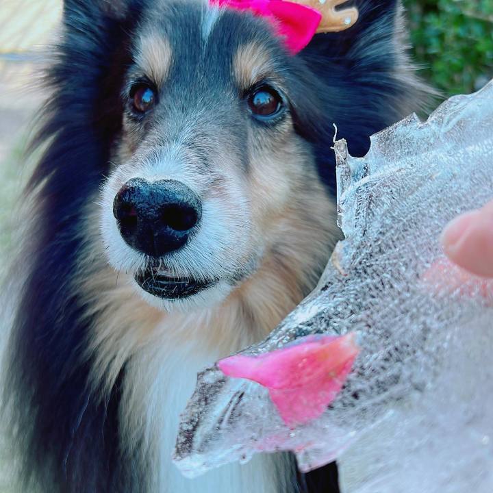 26872961 3a31 4aeb b517 647037c9448f 1671471014833