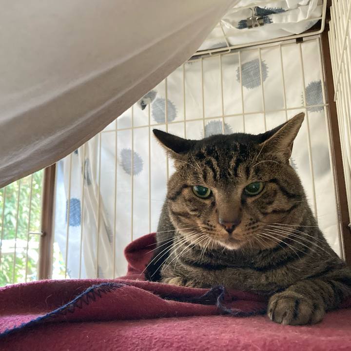 26872e09 247f 4775 9c7c 7bbba2031078 1664230174363