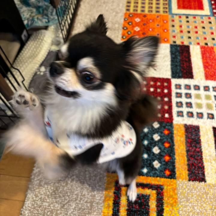 26873764 54fe 4d47 962d 406d583df0e4 1727625459527