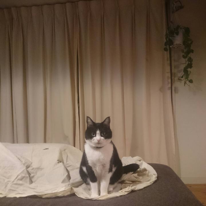 268737f2 bec6 492f b795 7c86499f6687 1510494012678