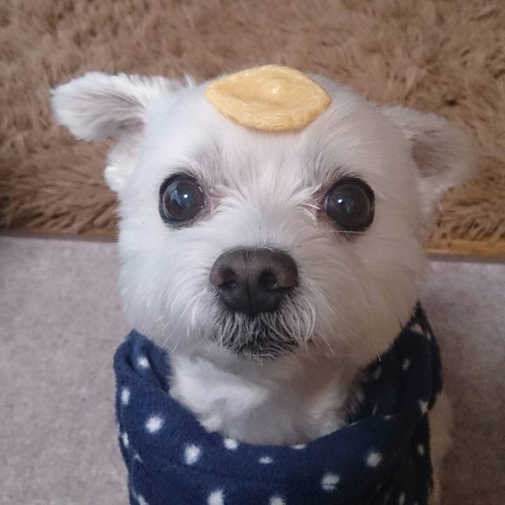 2687441e 20db 4fc3 ac04 662a20da872b 1507854234557