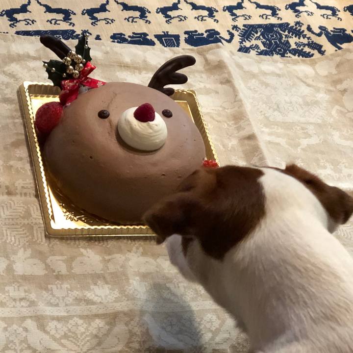 26875991 b7d9 429f 9a27 849e7f5c0a9f 1545640654450