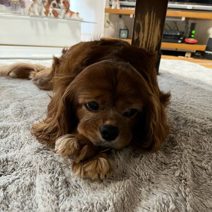 2687ed88 569a 4366 81db 46c3894be855 1696836880924